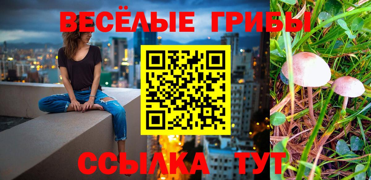 Тихвин  Галлюциногенные грибы GOLDEN TEACHER  Вход с VPN 